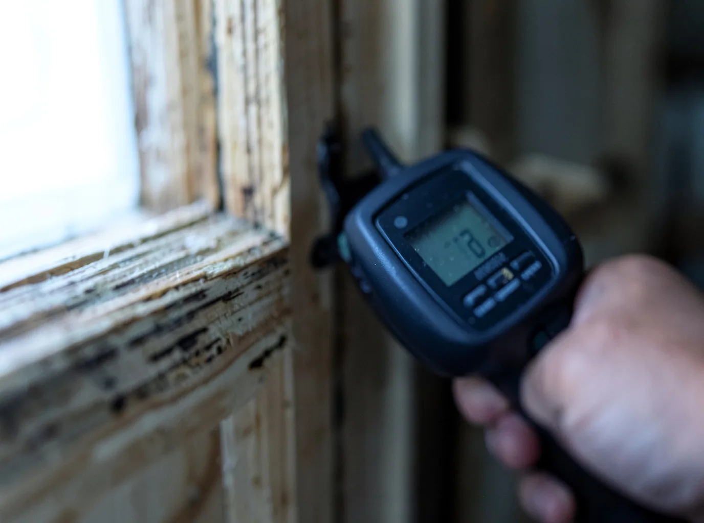 Moisture Inspection And Documentation in Lowry, MN